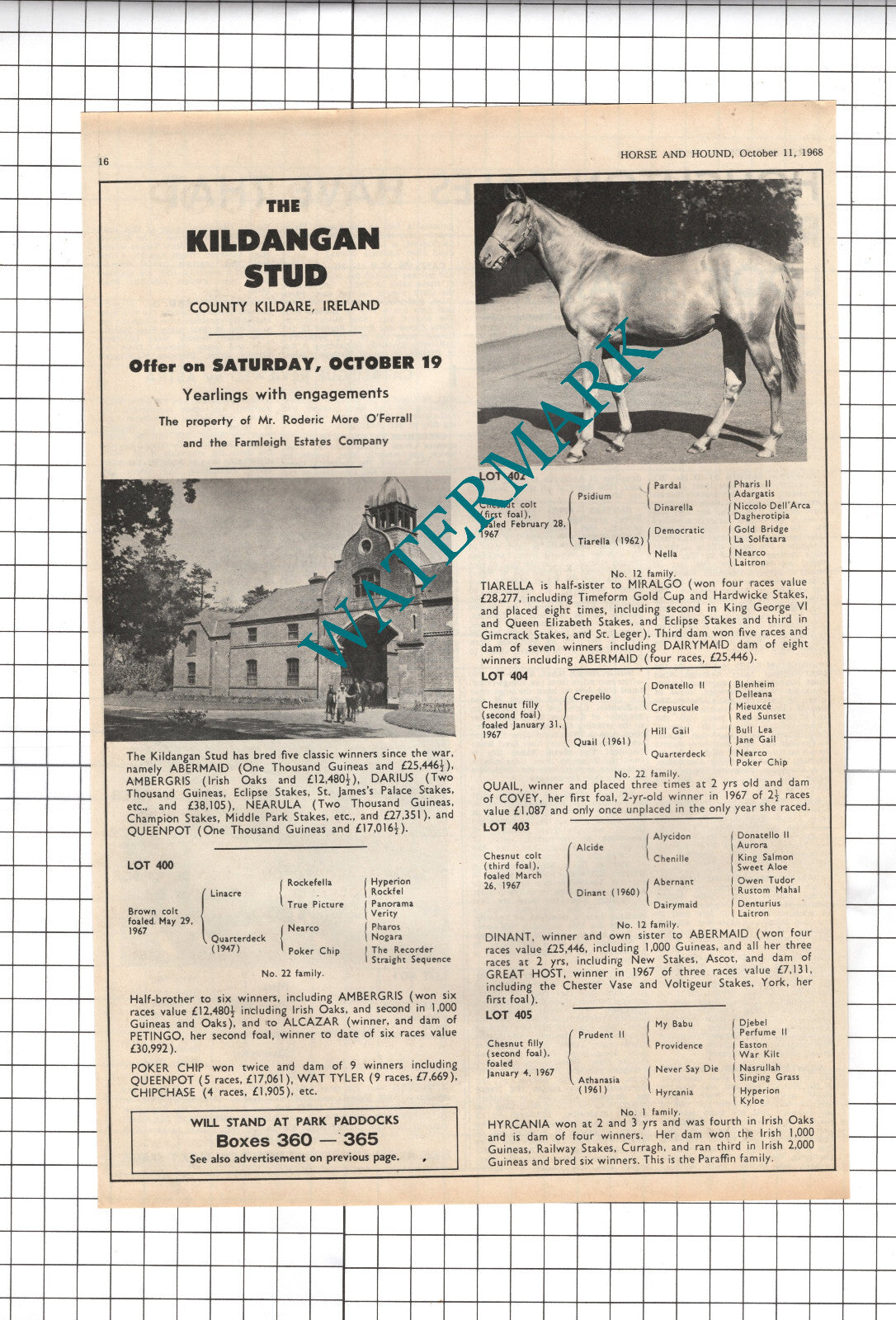 The Kildangan Stud County Kildare Ireland Roderic More O'Ferrall - 1968 Advert