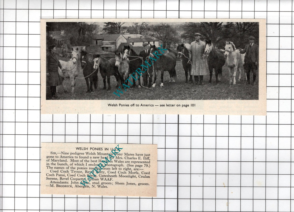Mrs Charles E Iliff Maryland America Shem Jones - 1948 2-Part Clipping