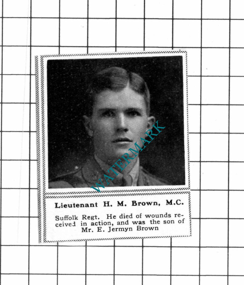 Lt H M Brown Suffolk Regiment Jermyn Brown WW1  - c.1918 SMALL Clipping / Print