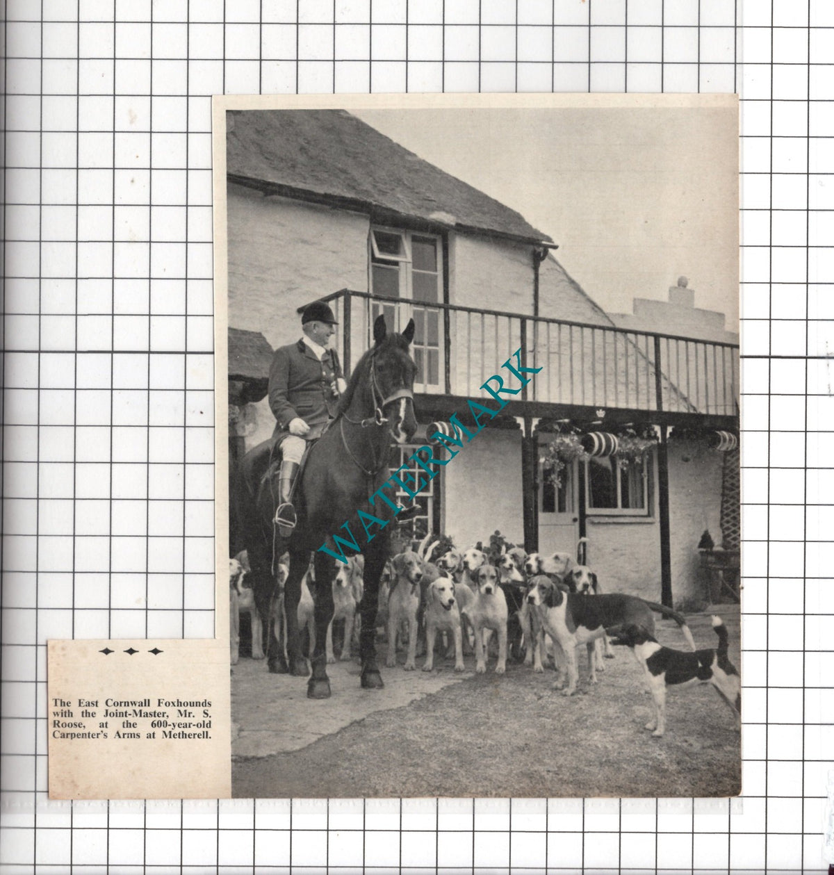The East Cornwall Foxhounds Mr S Roose Carpenter's Arms Metherell  1959 Clipping