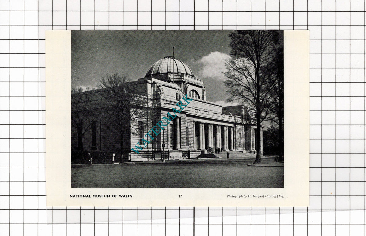 National Museum Of Wales Cardiff - 1958 Small Cutting / Print