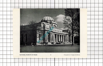 National Museum Of Wales Cardiff - 1958 Small Cutting / Print
