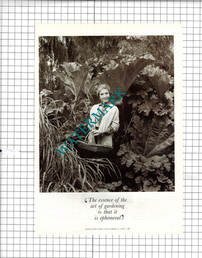 Beth Chatto Gardener  - 1997 Article