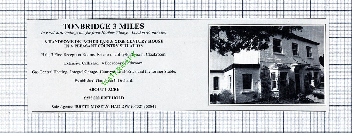 Hadlow Village Tonbridge Kent House Sale Advert - 1991 Cutting