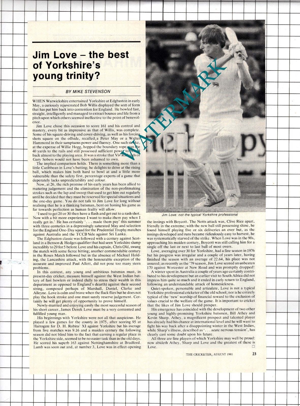 Jim Love Cricketer Cricket  - 1981 Article