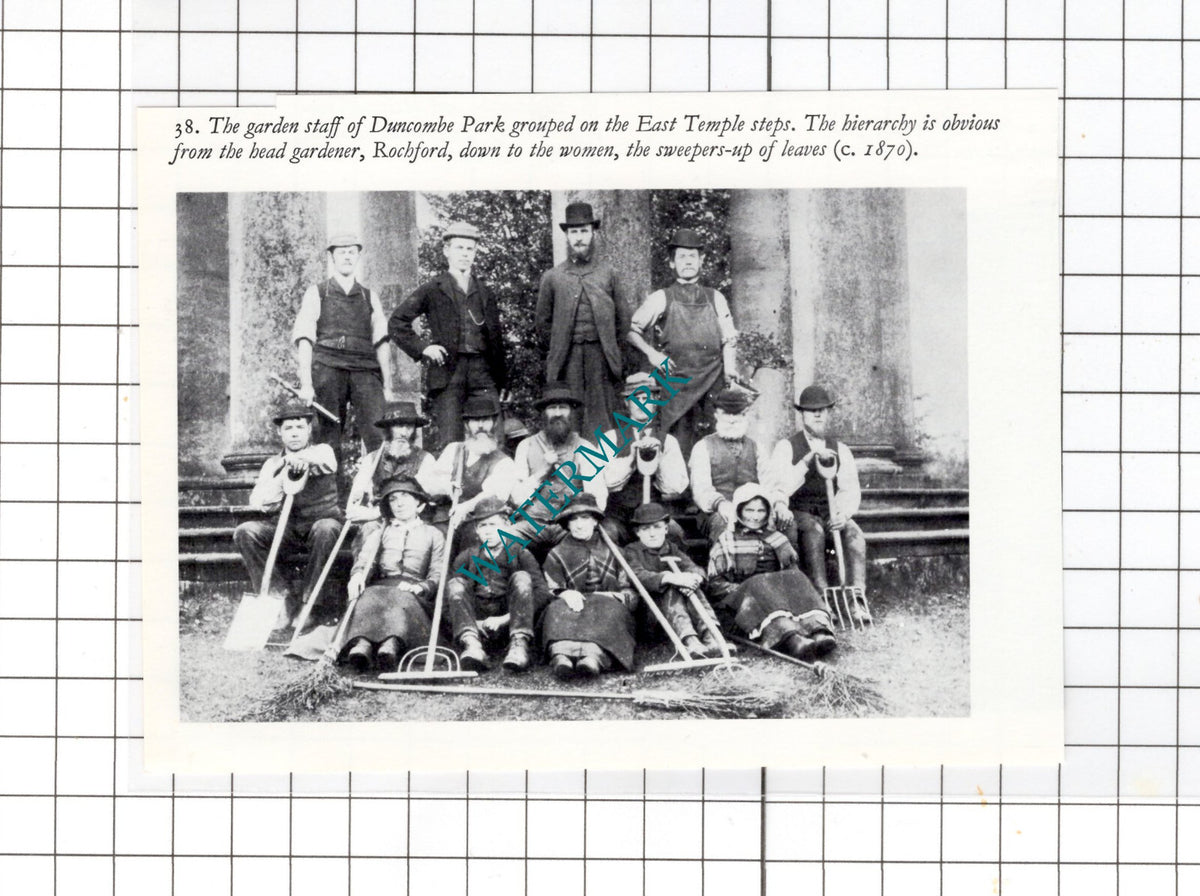 Duncombe Park Helmsley Yorkshire Rochford   -  Small Clipping