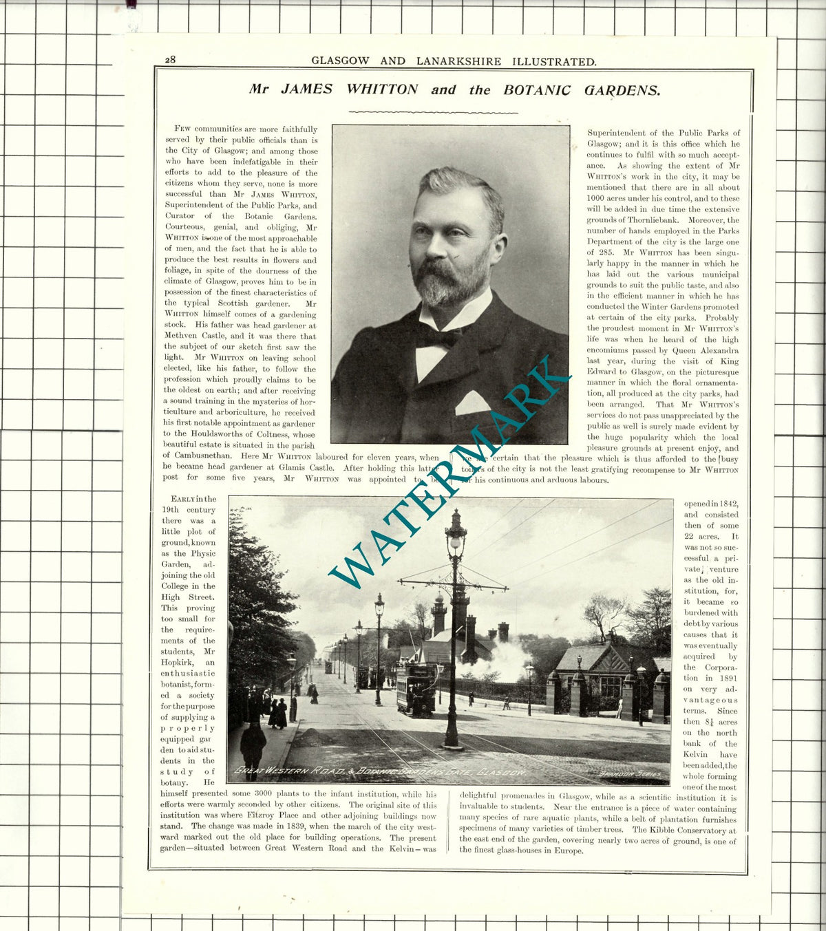 Mr James Paton Glasgow Art / James Whitton Botanic Gardens Glasgow  1904 Article