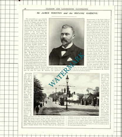 Mr James Paton Glasgow Art / James Whitton Botanic Gardens Glasgow  1904 Article