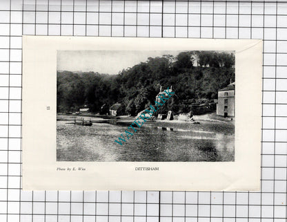 Dittisham / Bonheur Guest House Dartmouth Devon  Advert - c.1940s Cutting