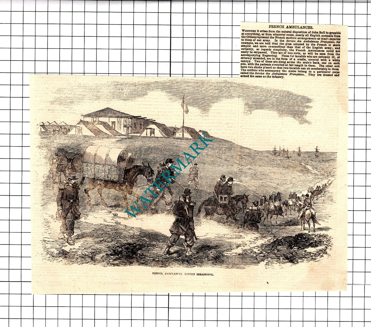 Crimean War French Ambulances Sebastopol  - 1854 Clipping / Print