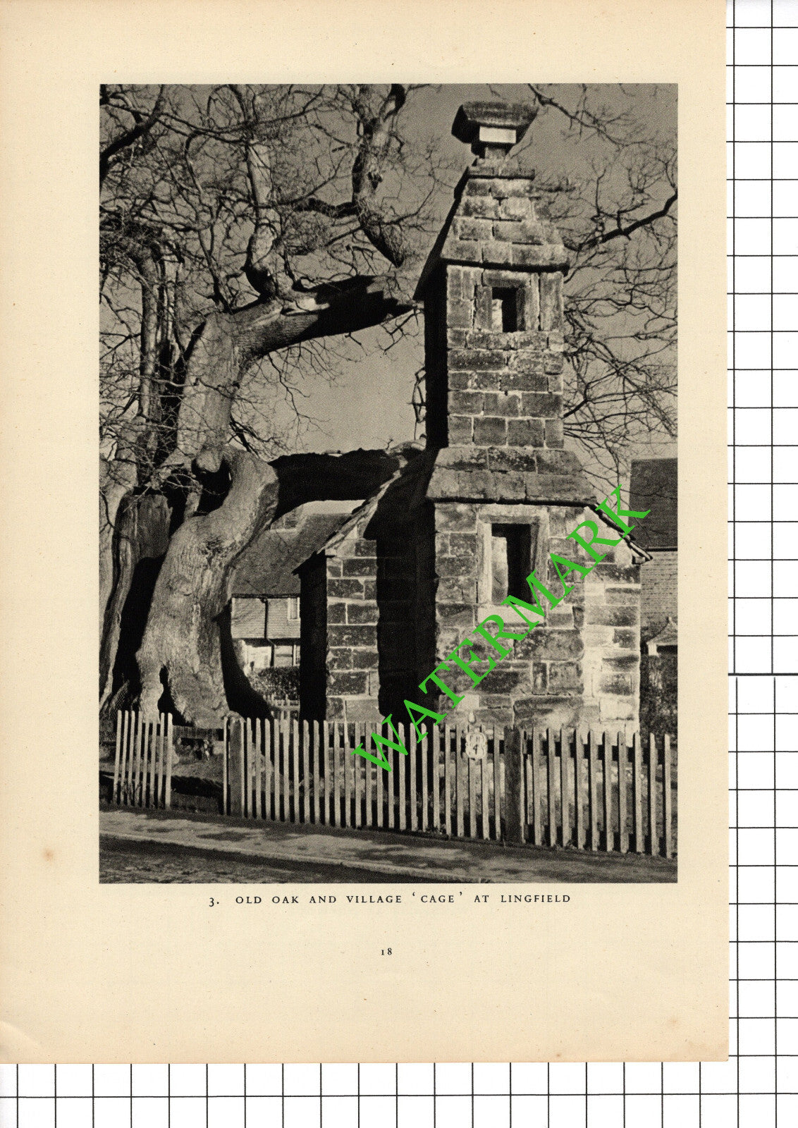 Windmills Outwood Surrey / Lingfield Surrey - 1949 Book Print
