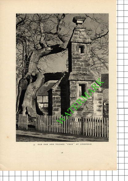 Windmills Outwood Surrey / Lingfield Surrey - 1949 Book Print