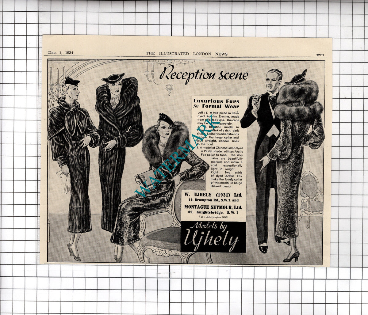 W Ujhely (1931) Ltd London Furs  ADVERT - 1934 Cutting / Print