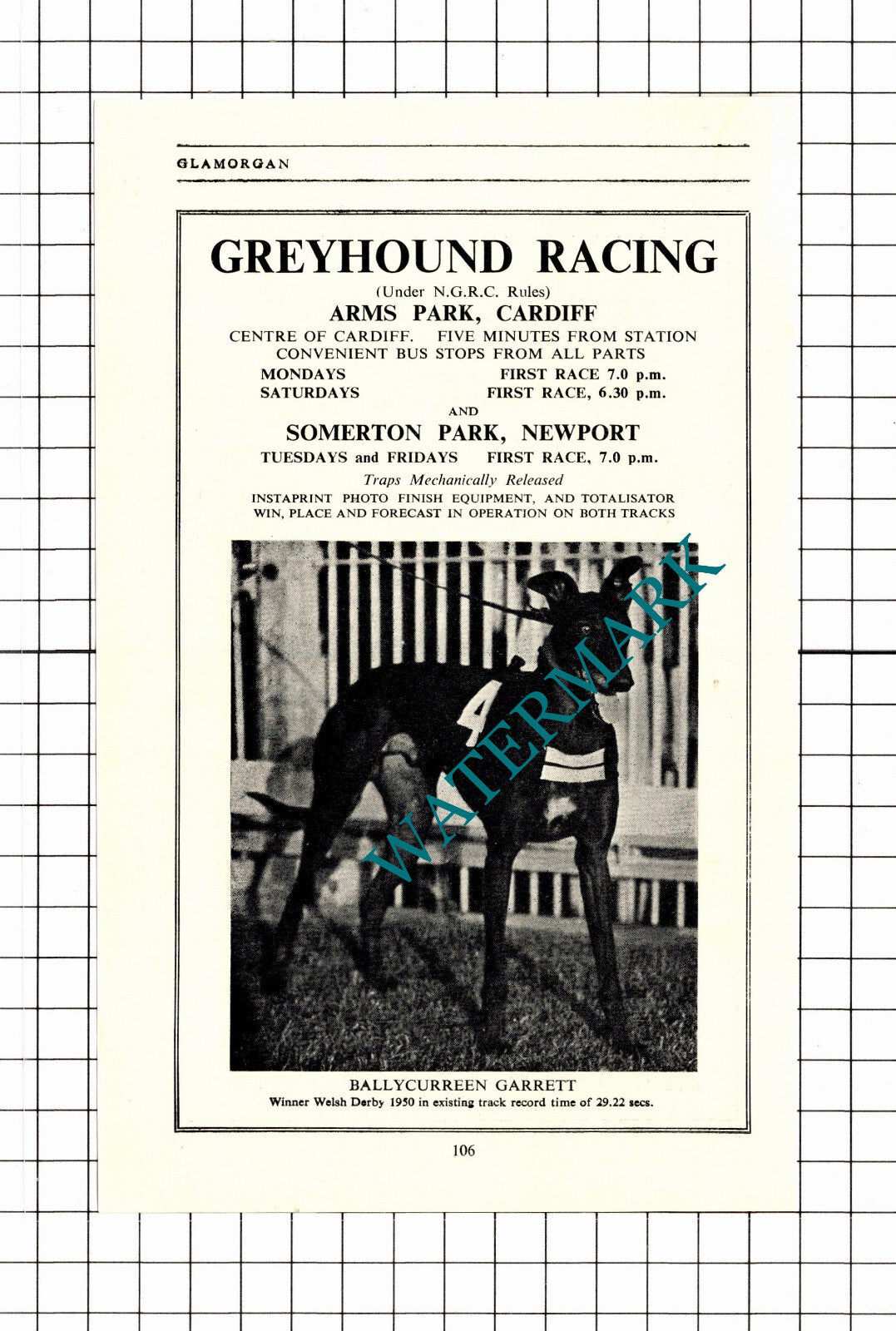 Arms Park Cardiff Greyhound Racing Ballycurreen Garrett Advert - 1953 Clipping