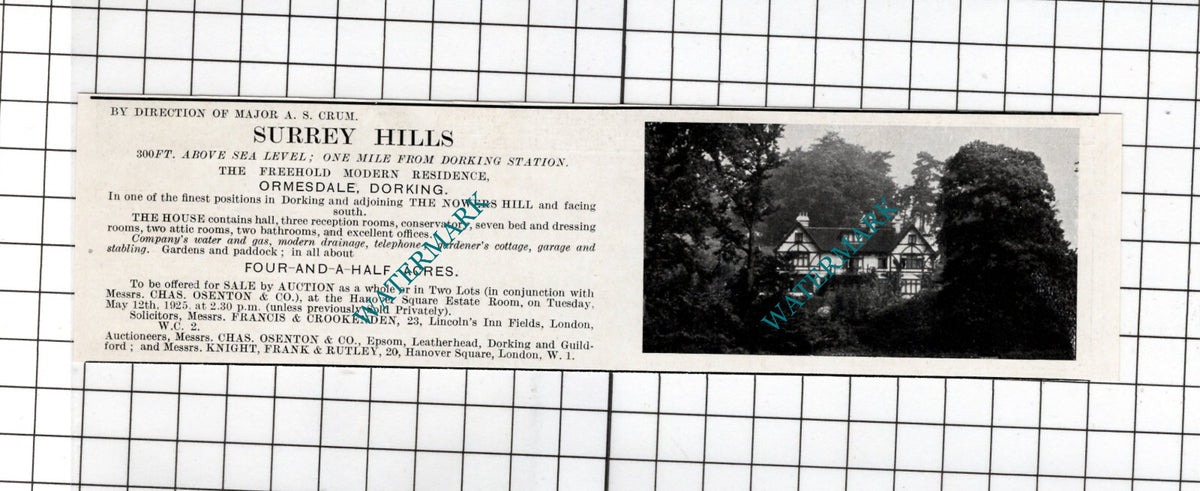 Ormesdale Dorking Surrey Major A S Crum   - 1925 Small House Sale Advert