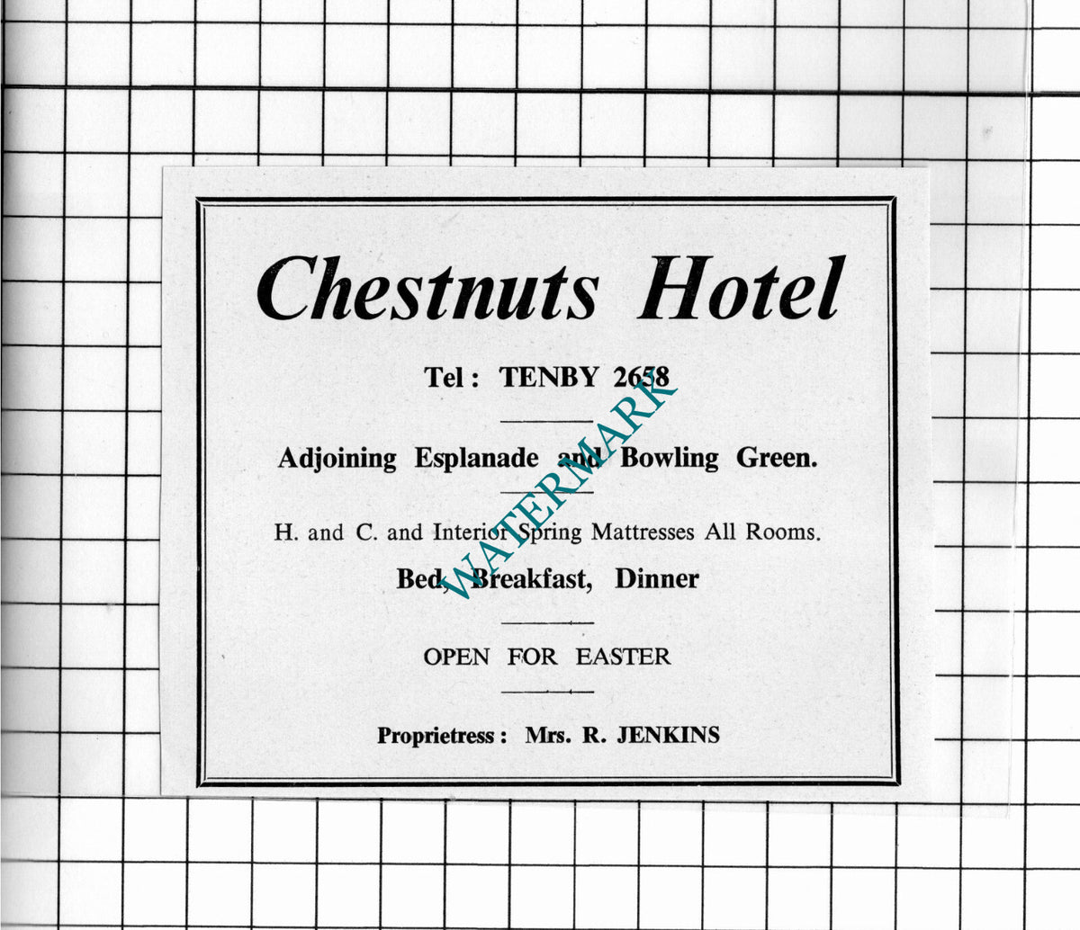 Chestnuts Hotel Tenby Wales Mrs R Jenkins Small Advert - 1962 Cutting