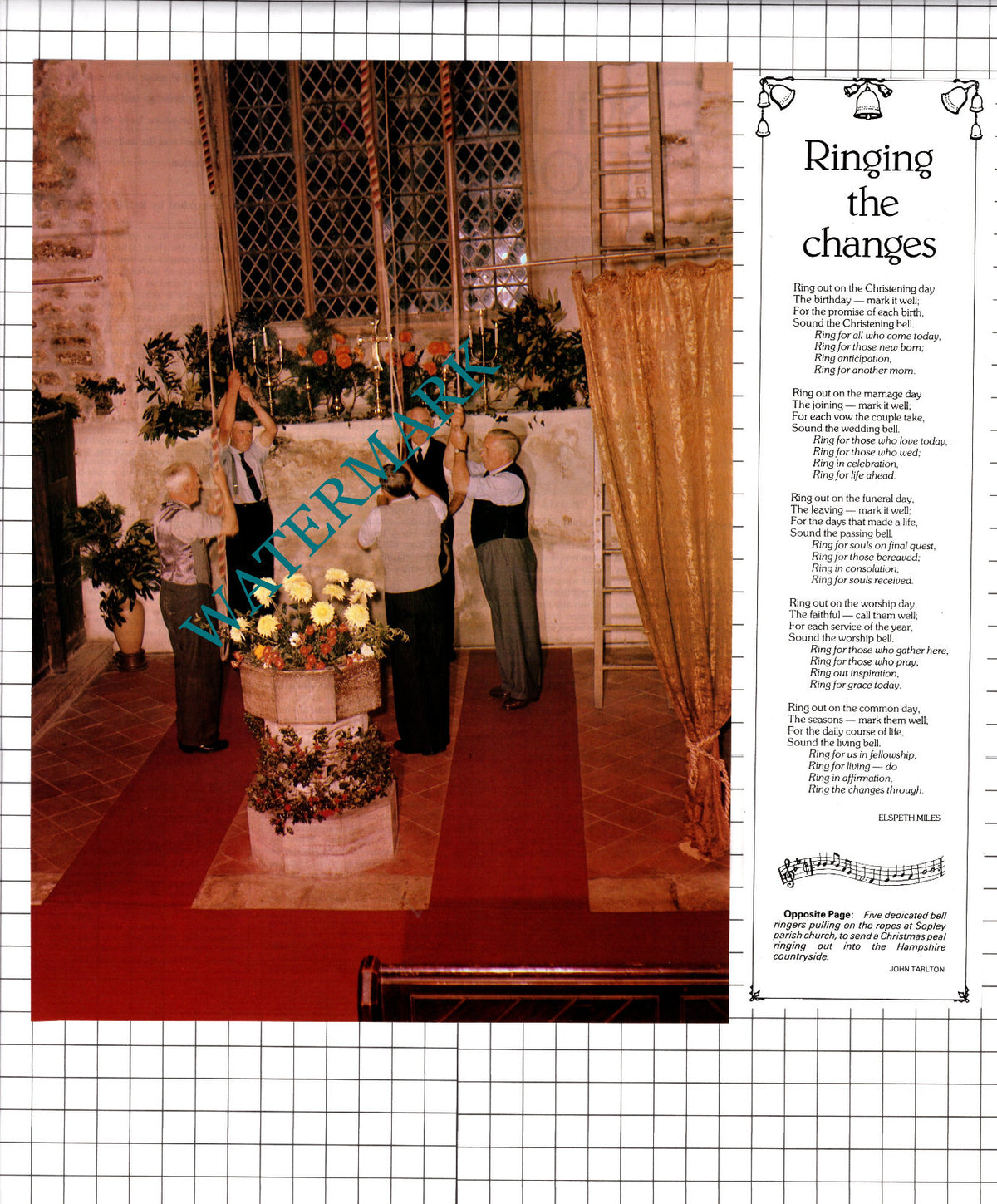 Sopley Hampshire Church Bellringers - 1980  Two-Part  Clipping / Print
