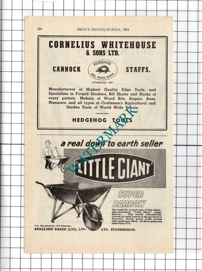 The Wilkinson Sword Co Ltd London  / Cornelius Whitehouse Cannock  - 1954 Advert
