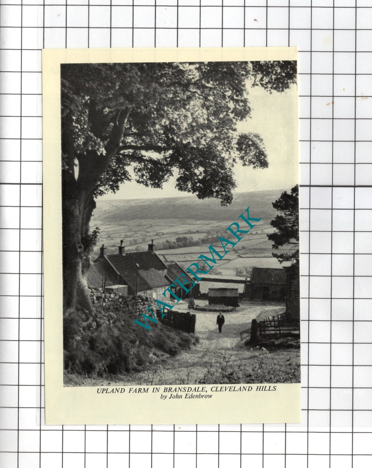 Upland Farm Bransdale North Yorkshire - 1970 Small Clipping