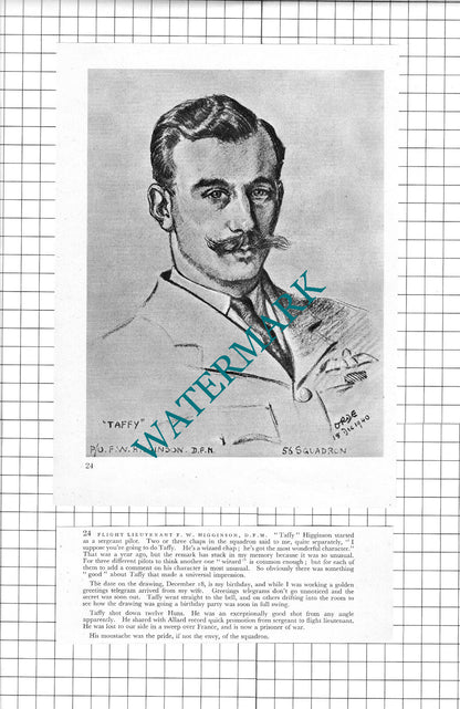 F/L F W Taffy Higginson / F/L E Holden WW2 Pilot - 1942 Book Print & Short Text