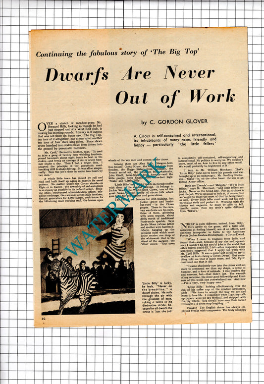 Bernard Mills Circus Alex Kerr Glasgow Animal Trainer Little Billy- 1956 Article
