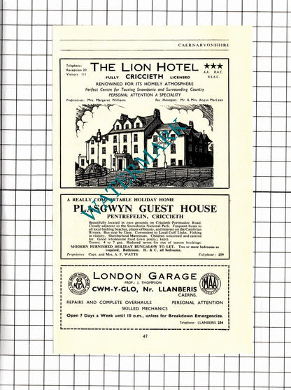Dolbadarn Hotel Llanberis Wales Owen Lion Hotel Criccieth Advert - 1953 Clipping