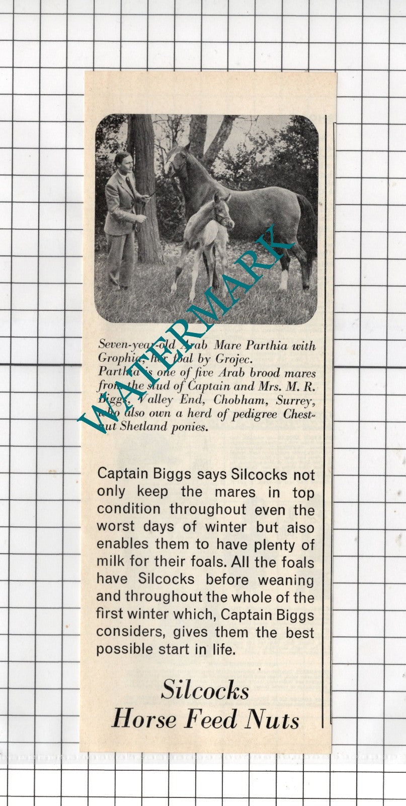 Captain and Mrs M R Biggs Valley End Chobham Surrey Silcocks  - 1966  Advert