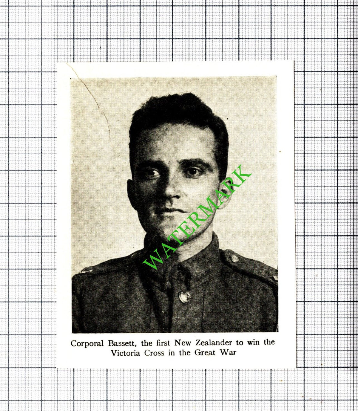 Corporal Bassett New Zealand Great War - c.1920 Small Cutting