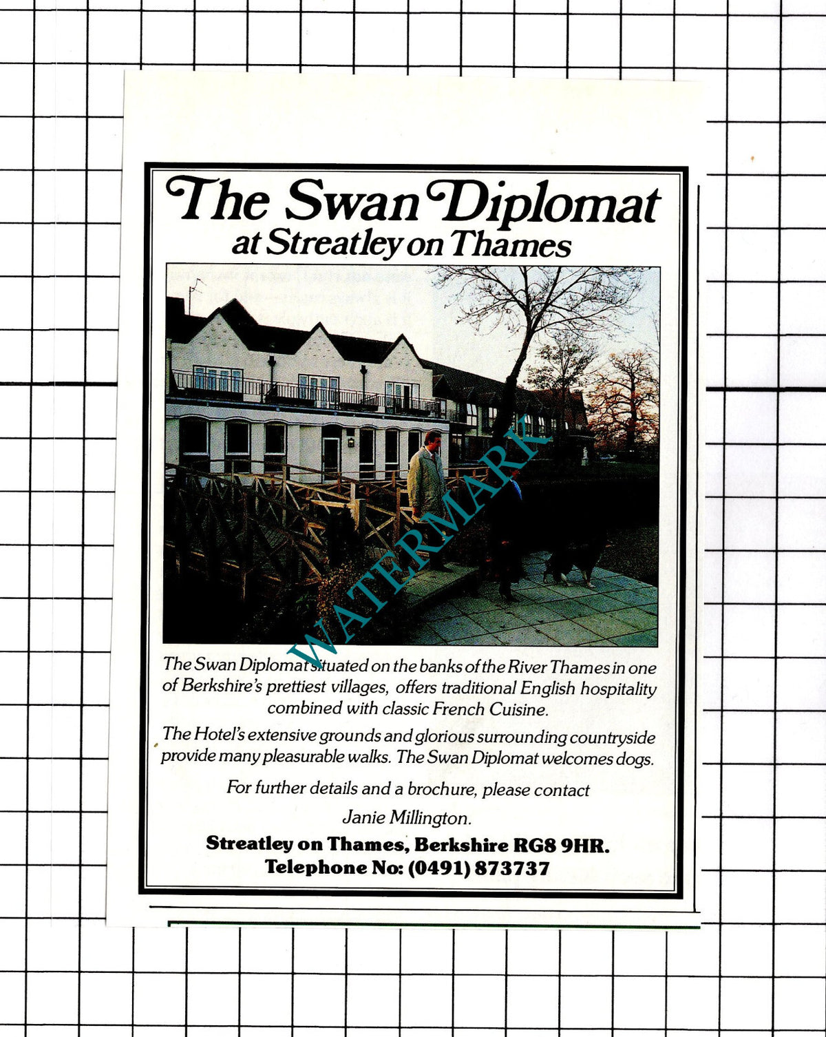 The Swan Diplomat Streatley On Thames Small Advert - 1990 Clipping / Print