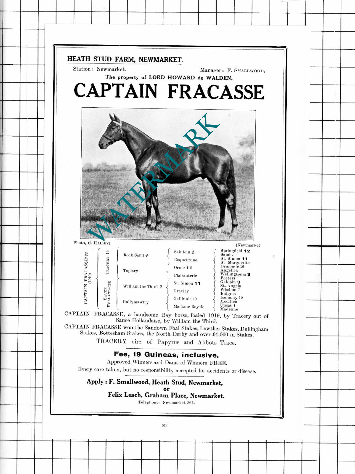 Lord Howard de Walden Racehorse Arnold Watts Spigot Lodge Middleham 1927 Advert