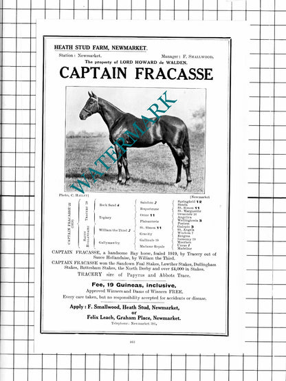 Lord Howard de Walden Racehorse Arnold Watts Spigot Lodge Middleham 1927 Advert