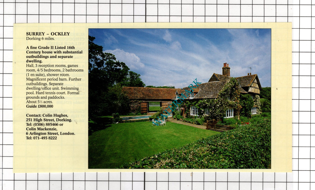 Chiddingfold Surrey Village Green /  Ockley Surrey  - 1994 House Sale Advert