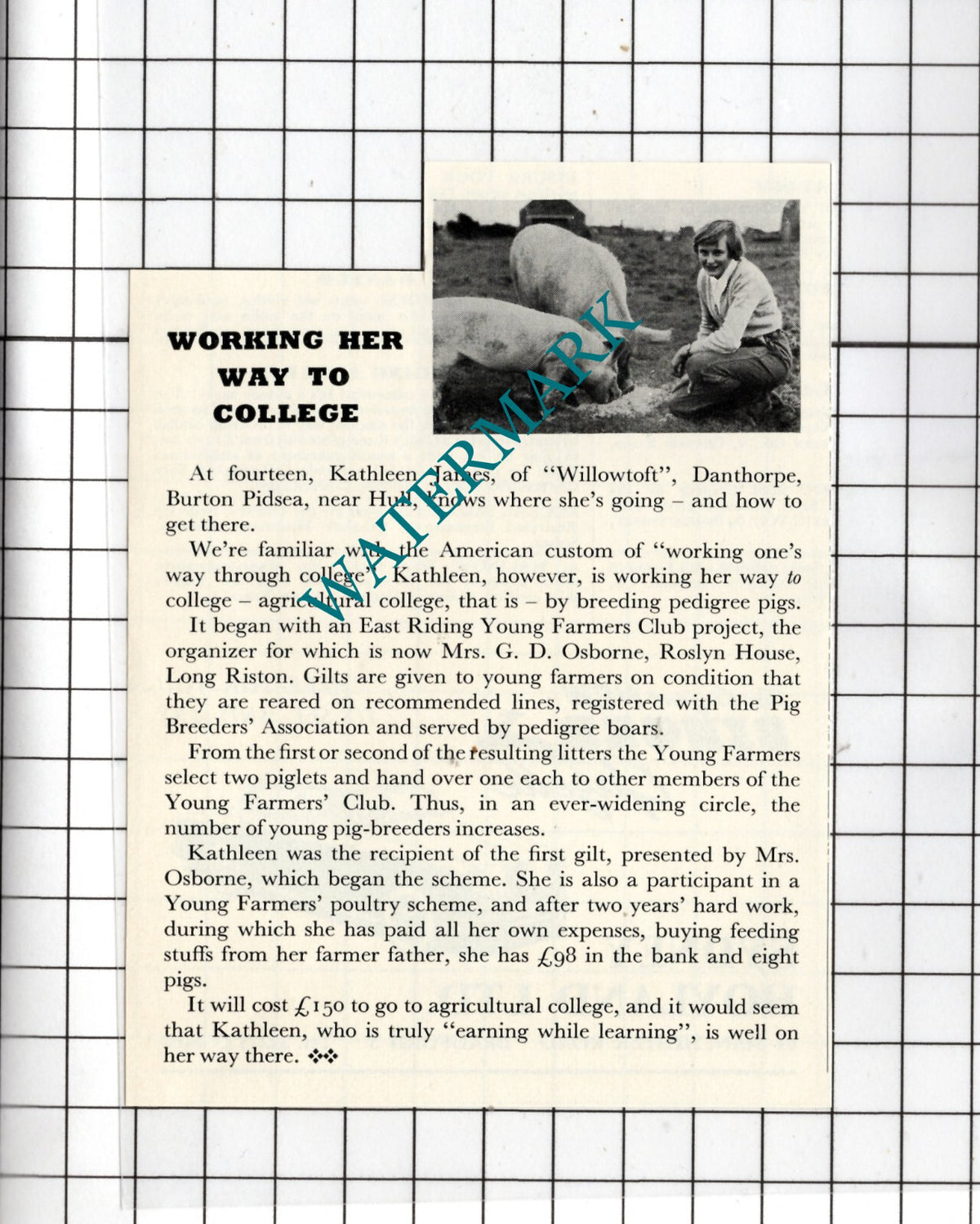 Kathleen James Willowtoft Danthorpe Burton Pidsea Yorkshire -1956 Small Clipping