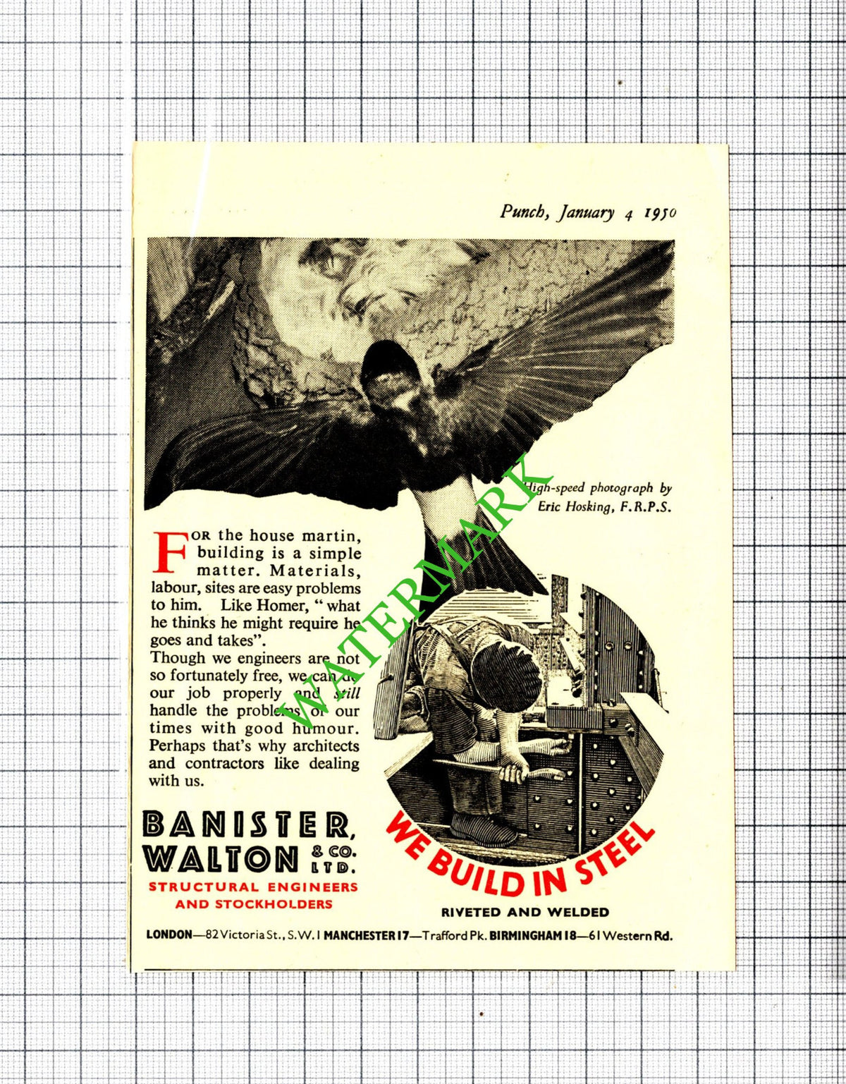 Banister Walton & Co Ltd Small Advert- 1950 Cutting