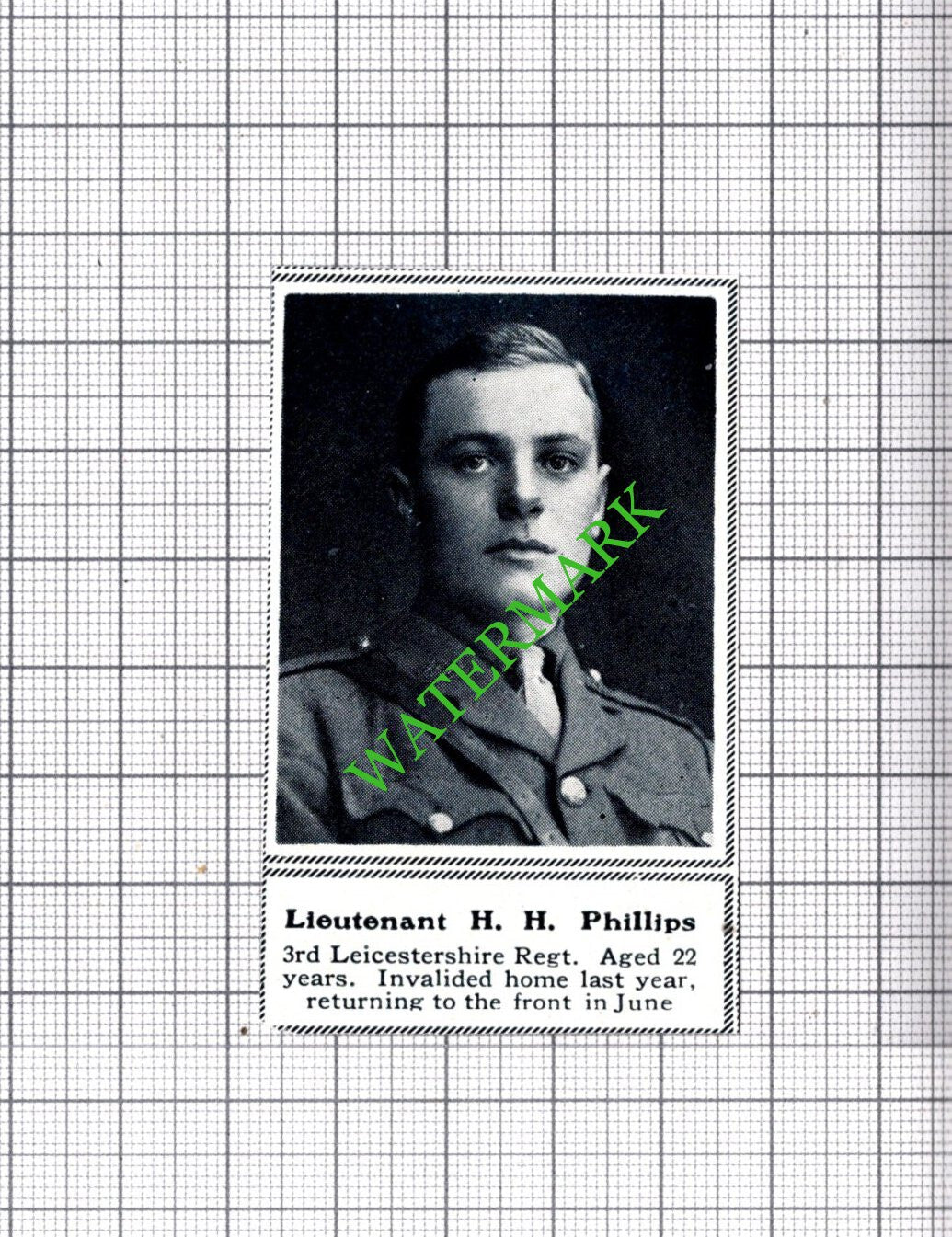 Lt H H Phillips 3rd Leicestershire Regt  -  c.1918 SMALL Cutting