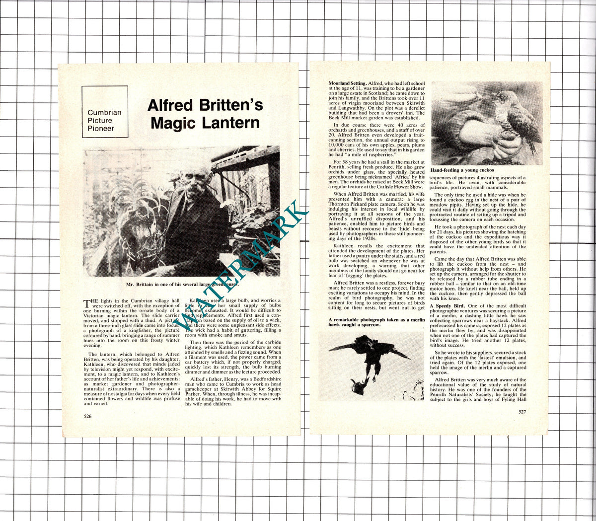 Alfred Britten Cumbria   - 1981 Article/ Print