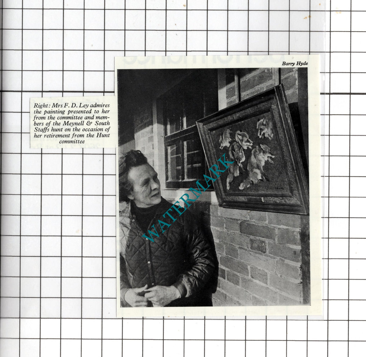 Mrs F D Ley Meynell & South Staffs Hunt -  1978 Small Clipping