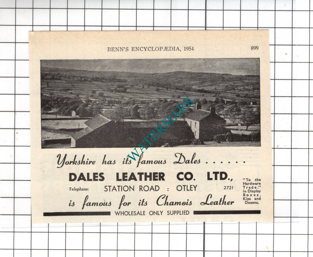 Dales Leather Co Ltd Station Road Otley Yorkshire  - 1954 Small ADVERT