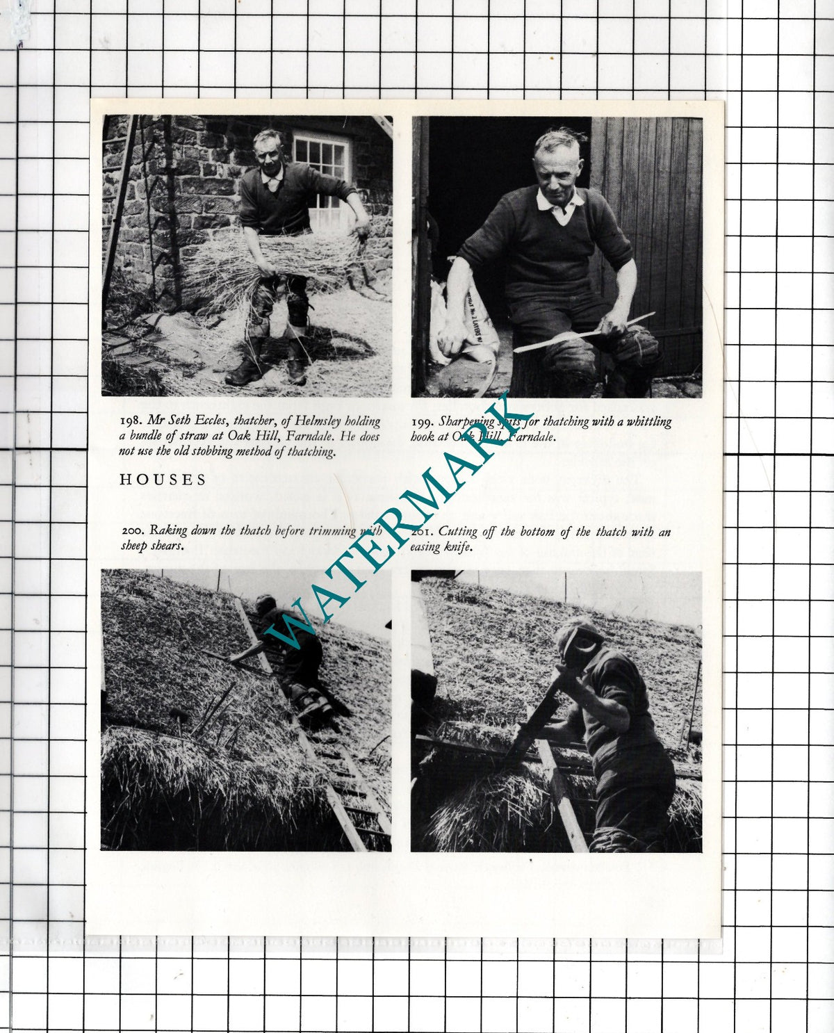 Mr Seth Eccles Thatcher Helmsley Yorkshire  Oak Hill  Farndale - Clipping