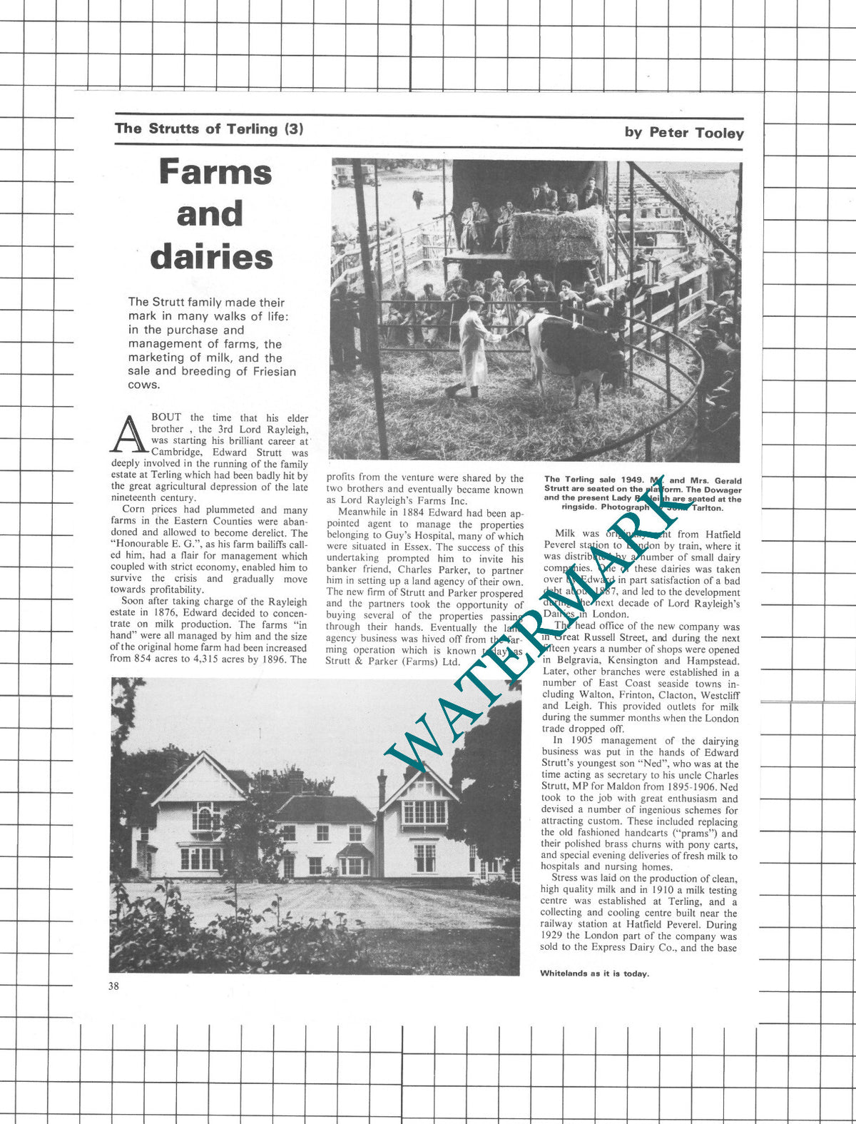 Edward Strutt Family Terling Essex Gerald Strutt  - 1978 Article