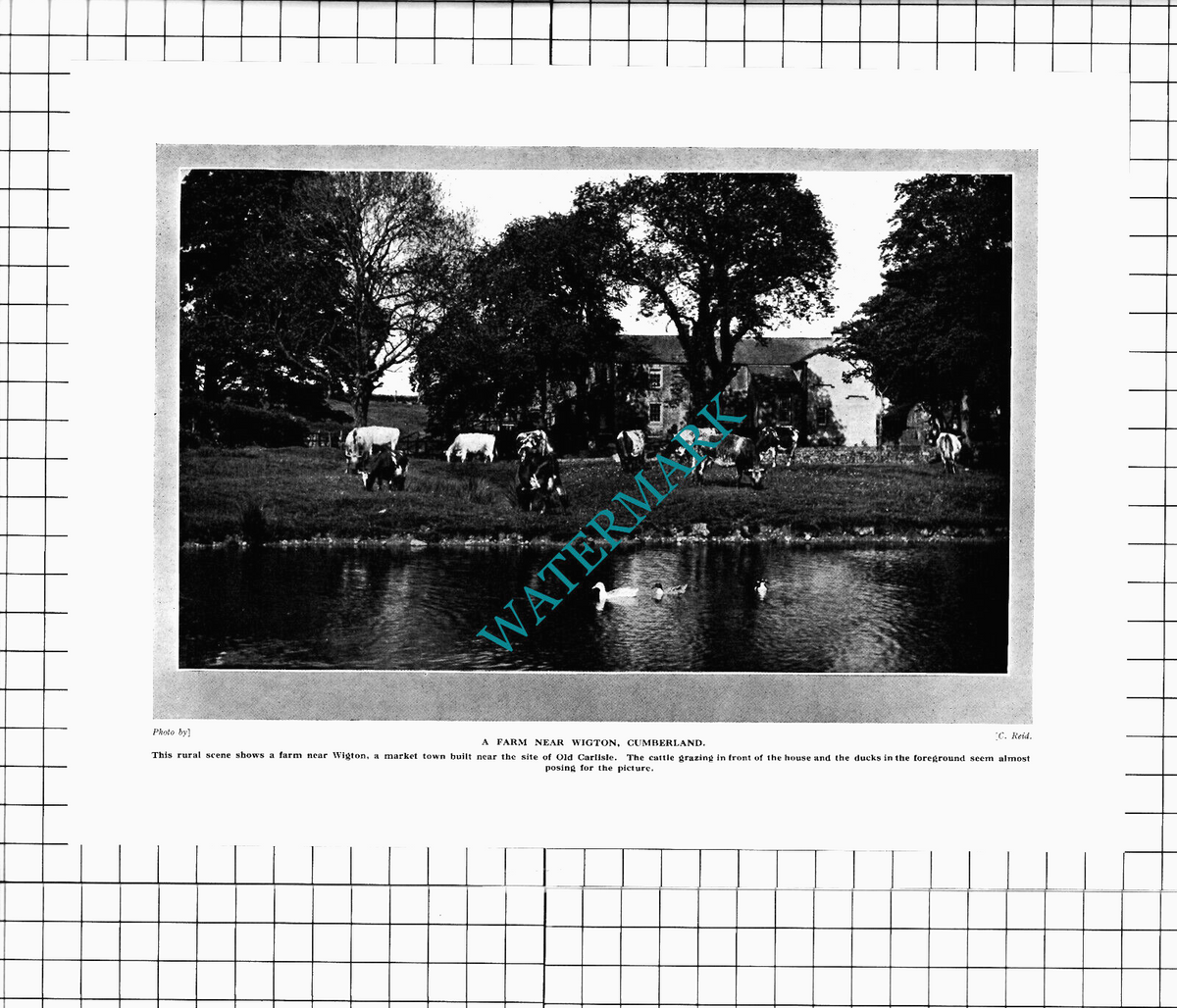 Wigton Cumberland Cumbria - c.1930's Clipping / Print