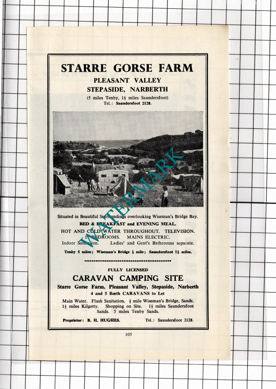 Starre Gorse Farm Stepaside Narberth Wales B H Hughes ADVERT - 1962 Clipping