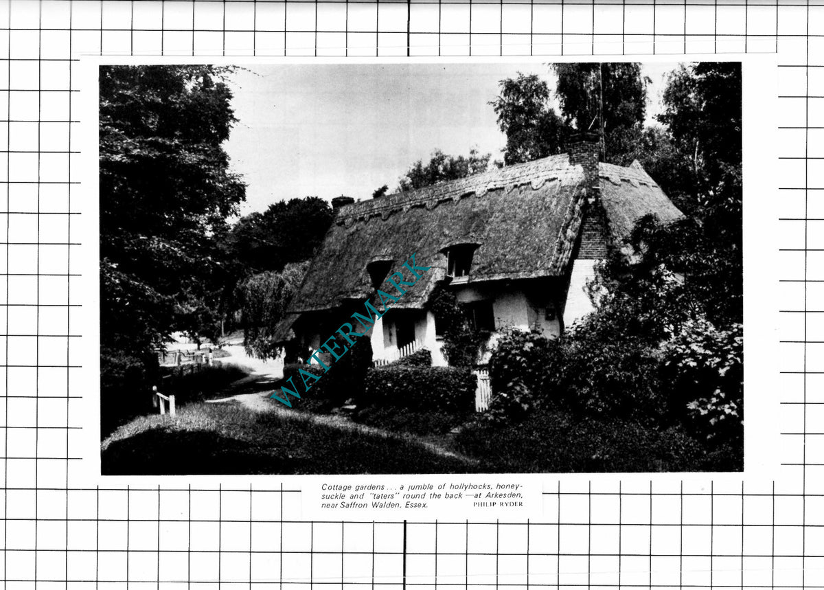 Arkesden Essex Thatched Cottage  - 1976 Clipping