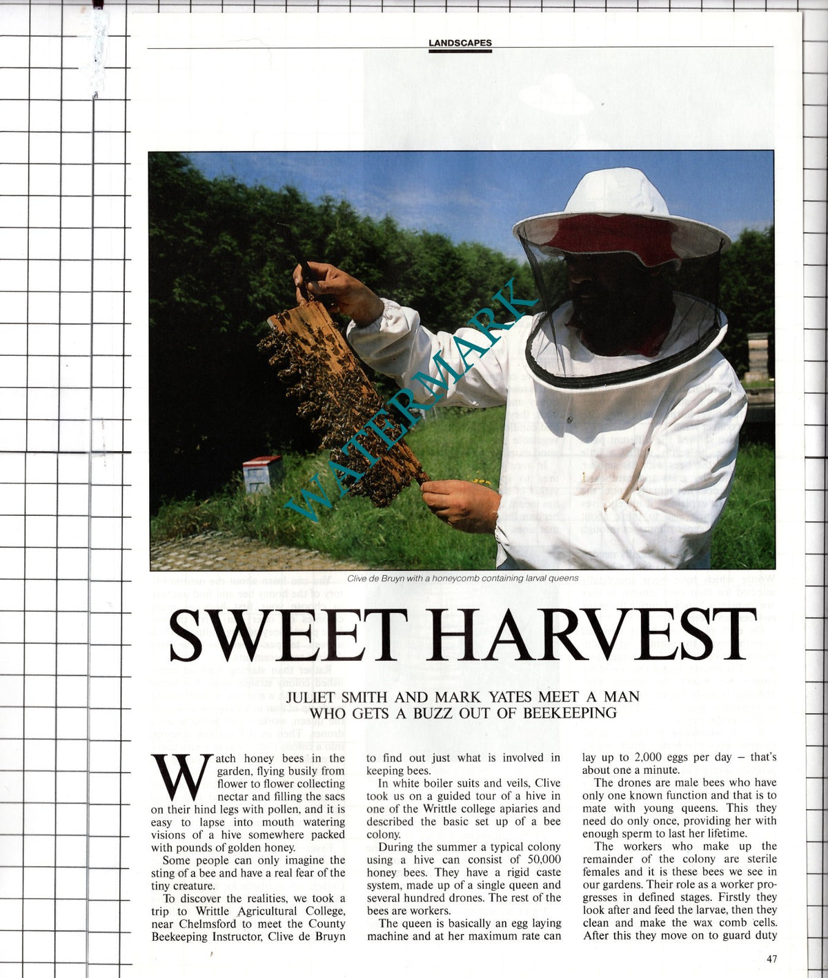Writtle Agricultural College Essex  Clive de Bruyn Beekeeping - 1991 Article