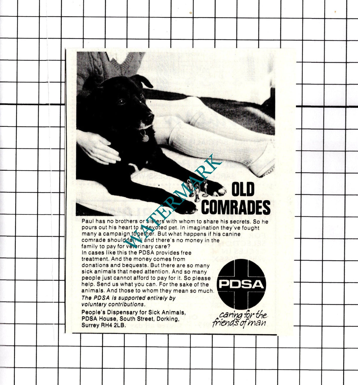 PDSA Dorking Surrey SMALL ADVERT - 1974 Clipping / Print