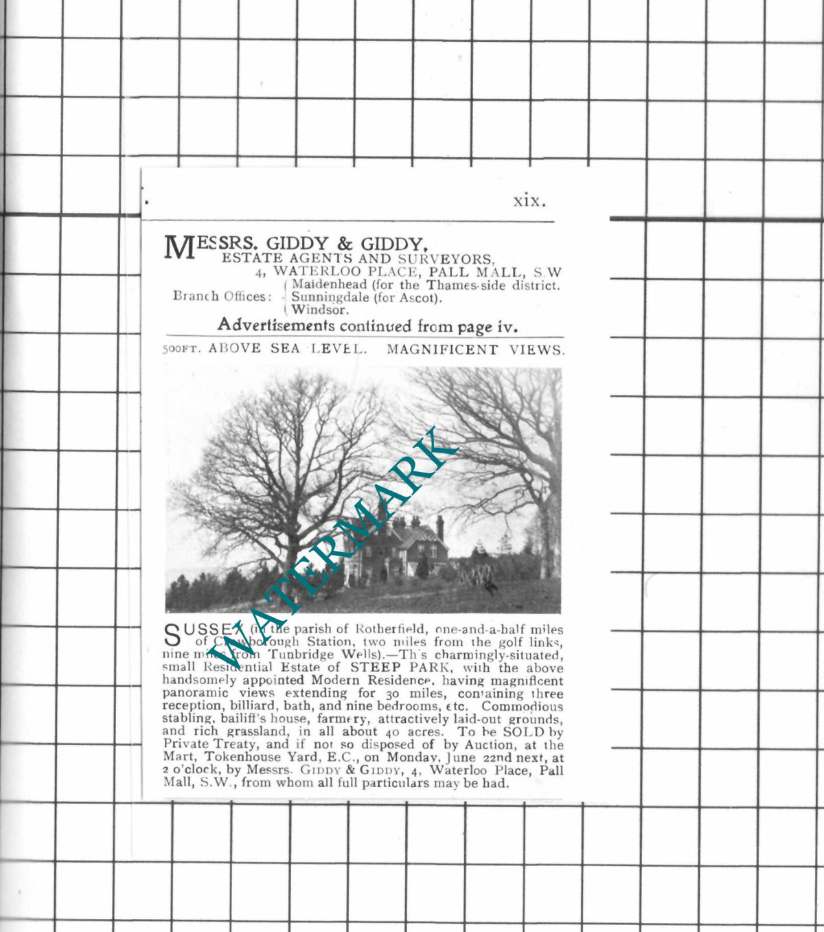 Steep Park Rotherfield Sussex  House Sale Advert - 1903 SMALL Clipping