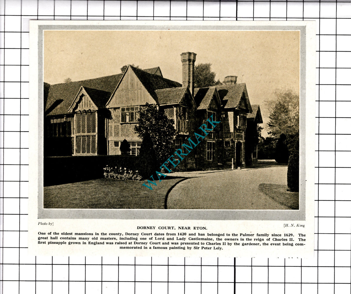Dorney Court Eton Palmer Family  - c.1930's  Clipping / Print
