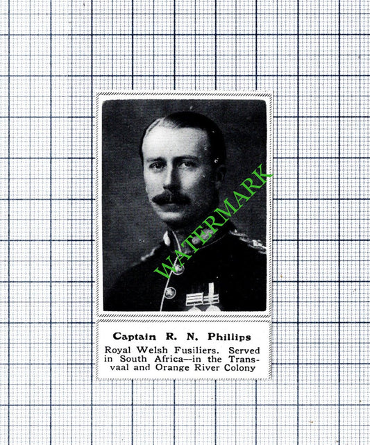 Captain R N Phillips Royal Welsh Fusiliers WW1- 1915 SMALL Cutting