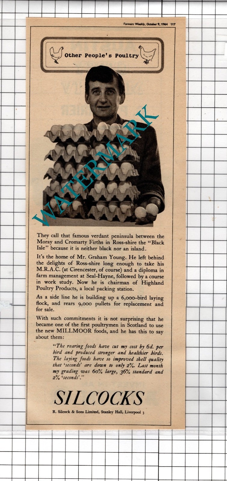 Mr Graham Young Highland Poultry Ross-shire Scotland Silcocks Advert - 1964