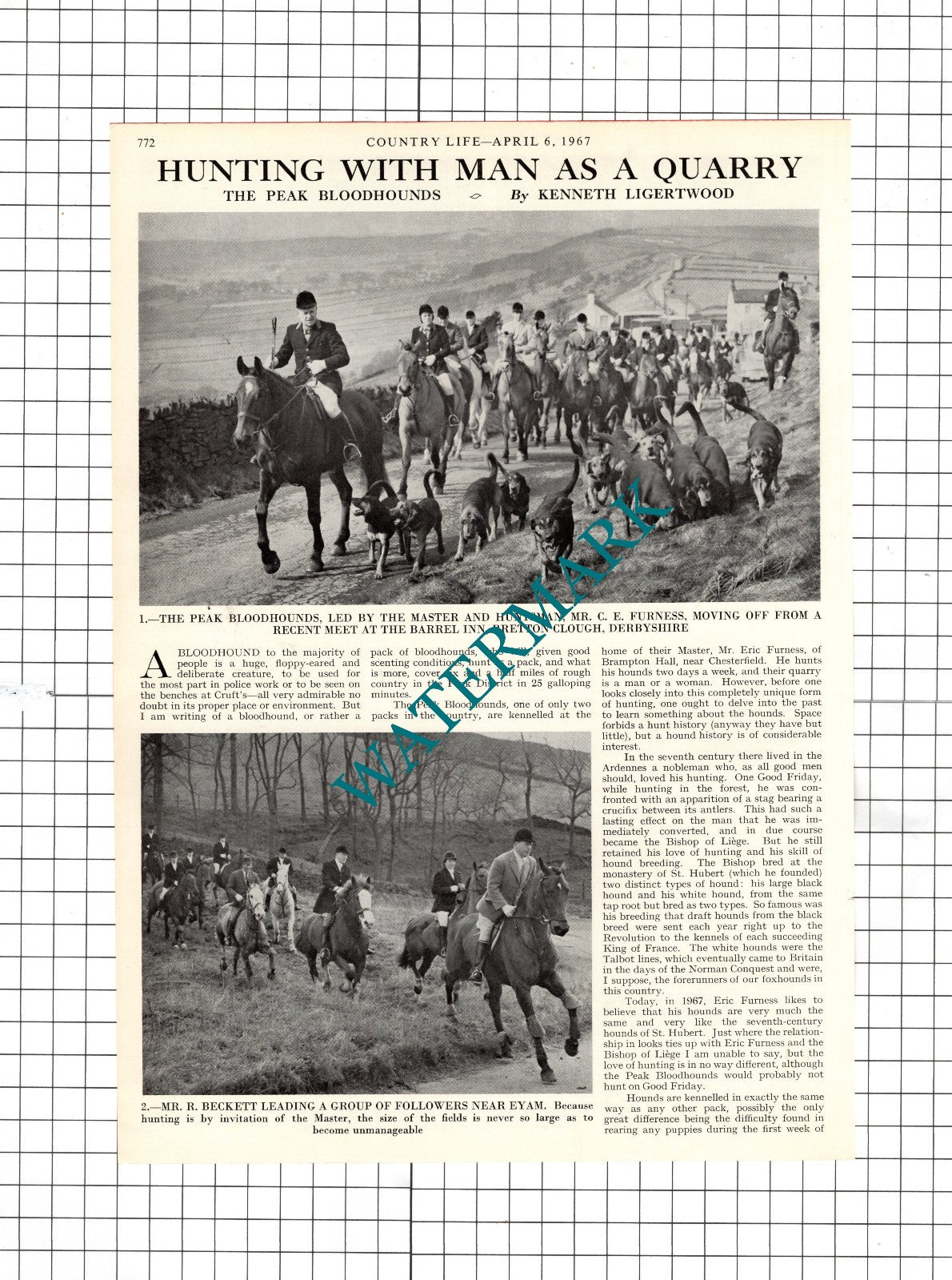 The Peak Bloodhounds Mr Eric Furness Brampton Hall Arthur Chapman - 1967 Article
